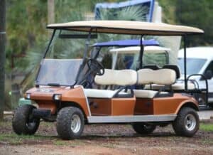 Gas Club Car DS Limo Cart (1)