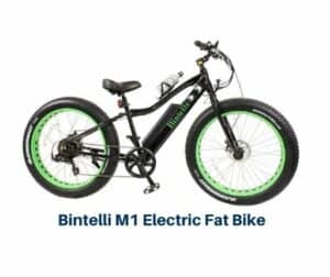 Bintelli M1 Electric Fat Bike